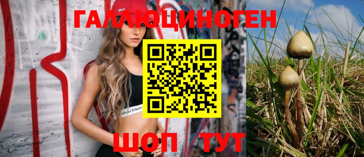 Галлюциногенные грибы Cubensis  Псилоцибиновые грибы Cubensis  Ахтубинск  Вход с VPN 
