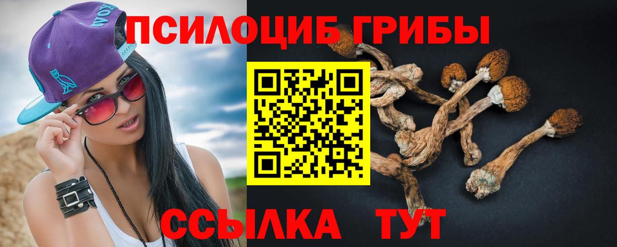 Галлюциногенные грибы MAGIC MUSHROOMS Ахтубинск